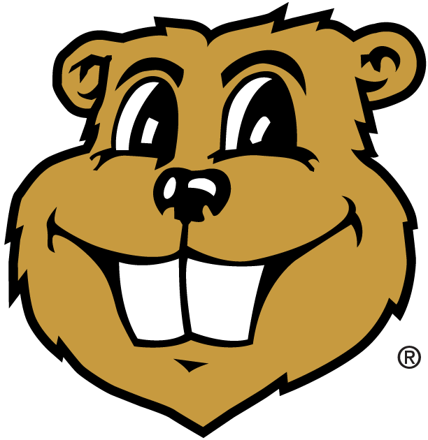 Minnesota Golden Gophers 1986-Pres Mascot Logo 02 vinyl decal